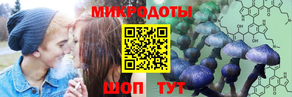 Гурьевск  Галлюциногенные грибы мухоморы  Галлюциногенные грибы мицелий  Вход с VPN 