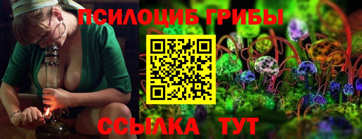 Галлюциногенные грибы Psilocybine cubensis Гурьевск